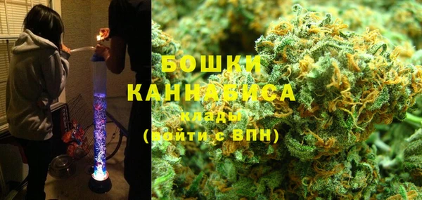 стаф Богданович