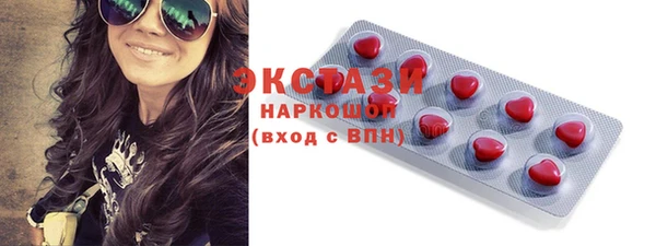 стаф Богданович