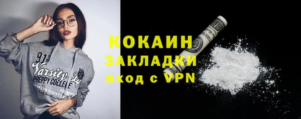 2c-b Богородицк