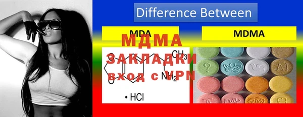стаф Богданович