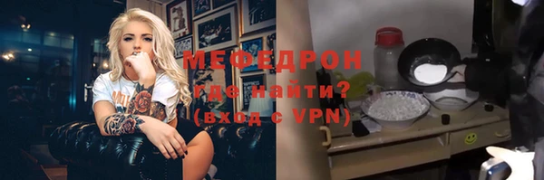 стаф Богданович
