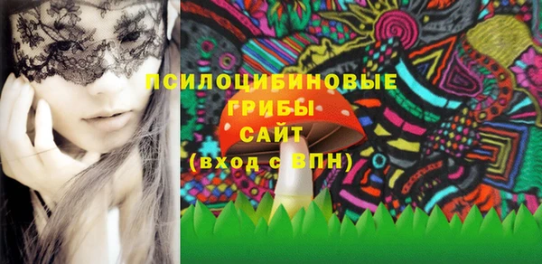 2c-b Богородицк