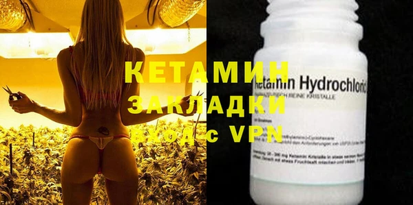 стаф Богданович