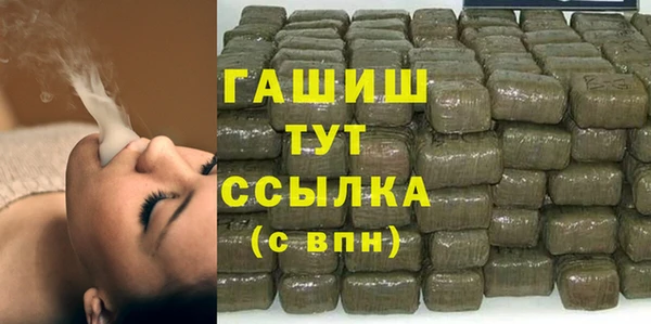 стаф Богданович
