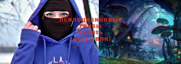 2c-b Богородицк